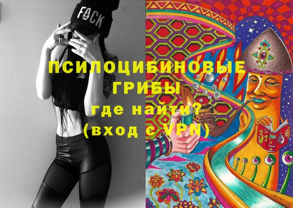 хмурый Алексеевка
