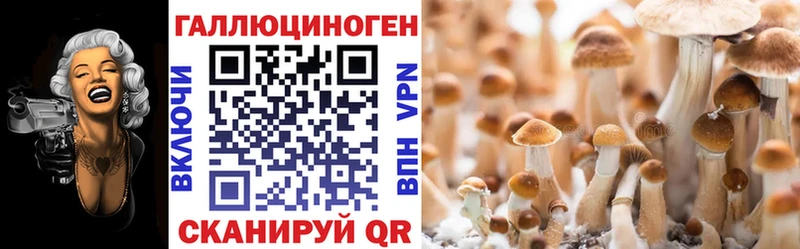 Галлюциногенные грибы GOLDEN TEACHER  Черноголовка 