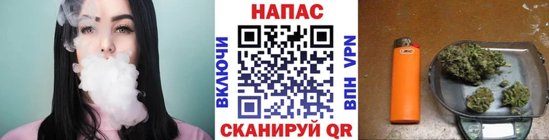 продажа наркотиков  Черноголовка  Бошки Шишки SATIVA & INDICA 